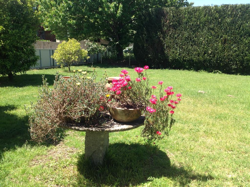 Casa De Romao Villa Amares Dış mekan fotoğraf