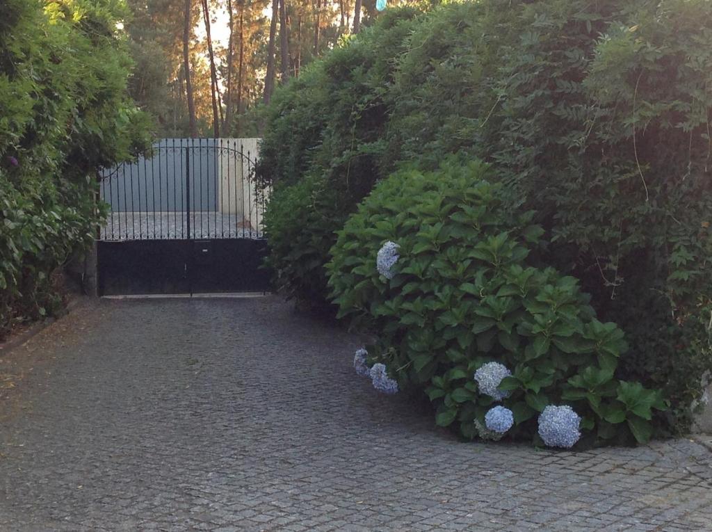 Casa De Romao Villa Amares Dış mekan fotoğraf