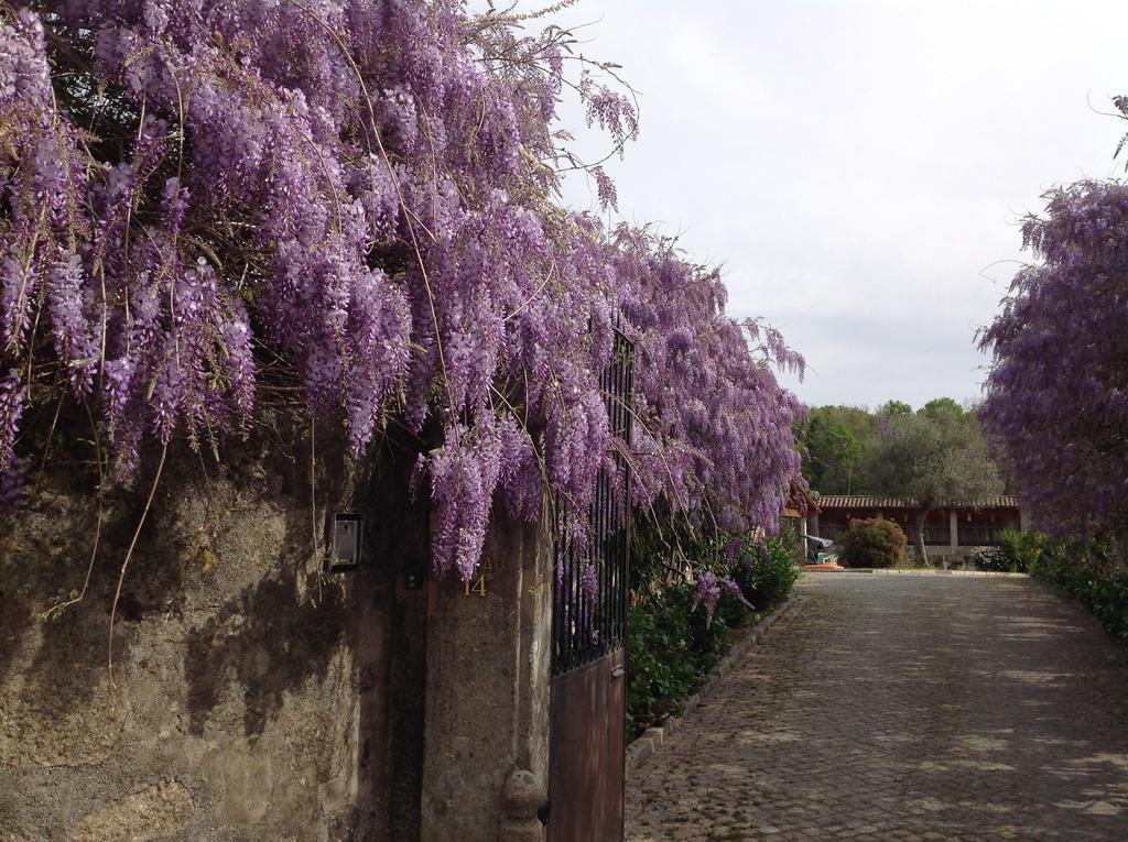 Casa De Romao Villa Amares Dış mekan fotoğraf